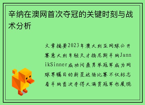 辛纳在澳网首次夺冠的关键时刻与战术分析
