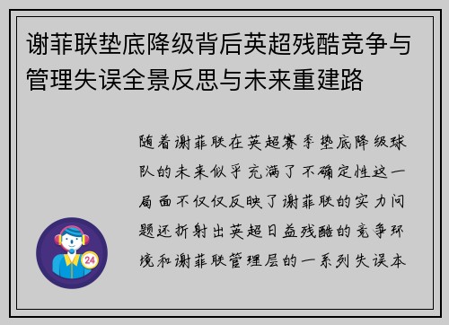 谢菲联垫底降级背后英超残酷竞争与管理失误全景反思与未来重建路